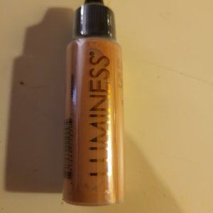 Luminess air brush makeup